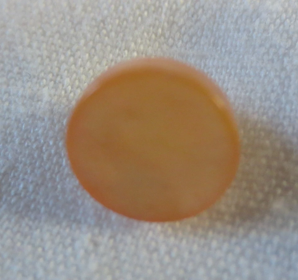 Botones de caña perlada con tapa plana de plástico Tú eliges color y tamaño Foto 1 de 1