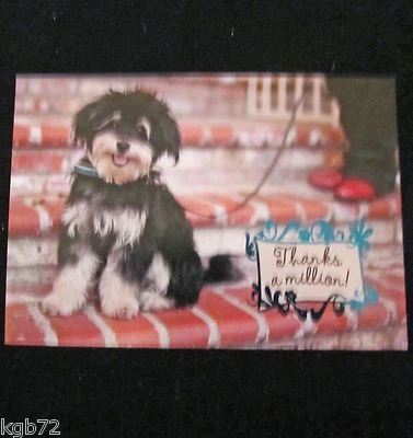 Leanin Tree Thank You Puppy Dog Cute Greeting Card Multi Color R198 - Image 1 of 2