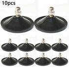 Premium Quality M6 Nut Thumb Screw Suction Cups for Kitchen Organization