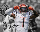 Réimpression photo dédicacée 8x10 Ja'Marr Chase Cincinnati Bengals.