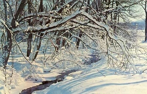 Winter Wonderland, UNP, excelente -- postal - Imagen 1 de 2