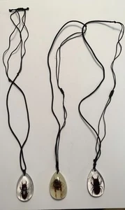 3 Bug Necklaces - Picture 1 of 4