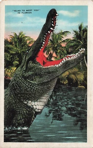 OPEN MOUTH ALLIGATOR FROH, DICH IN FLORIDA ZU TREFFEN TOURISTEN POSTKARTE 1920er 091024 T - Bild 1 von 2