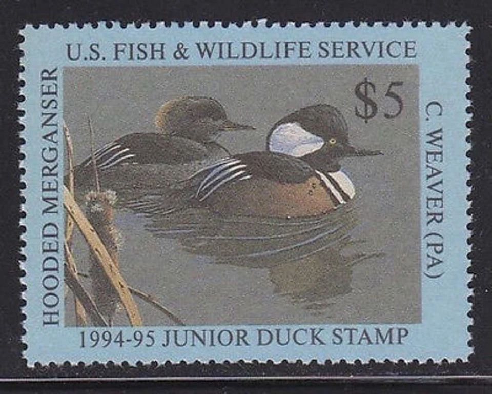 JDS2 1994 Federal Junior Duck Stamp SUPERB OGNH- EBAY LOWEST-FREE SHIP-OFFER? - Image 1 of 1