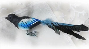 ❀ Elster Glasvogel Lauscha Glas Vogel m. Clip Christbaumschmuck 11cm /21cm 196E - Bild 1 von 7