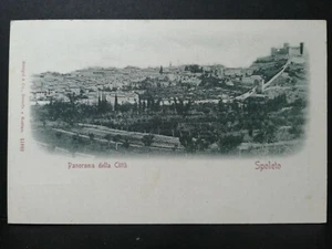 Cartolina Spoleto Panorama L191 - Imagen 1 de 1