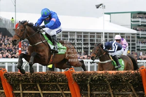 HURRICANE FLY RUBY WALSH 2013 CHELTENHAM FESTIVAL PHOTO PRINT HORSE RACING 2 - Picture 1 of 1