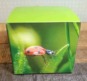 62XL Schwarz Tintenpatronen 5740 8040 5741 5745 HP OfficeJet 5746e - Zwei (2) Stück - Bild 1 von 5