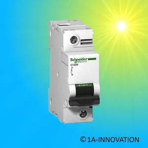 Schneider Electric Leitungsschutzschalter A9N18358 C120N 1p C 100A - Bild 1 von 1