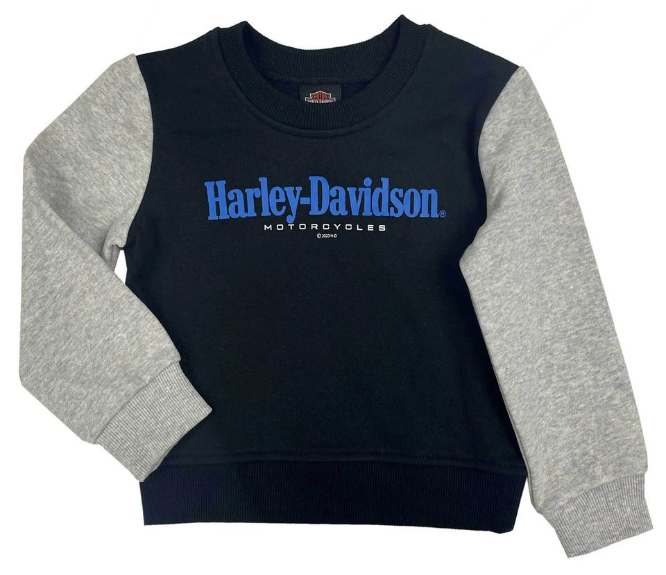 Sudadera con capucha suéter Harley-Davidson polar bloqueado de color para niñas pequeñas Foto 1 de 1