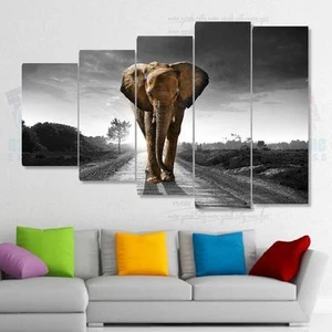 150x100cm - Set 5 Gemälde bedruckt Gemälde Deko - Elefant EL10BW2-5T150100B - Bild 1 von 13