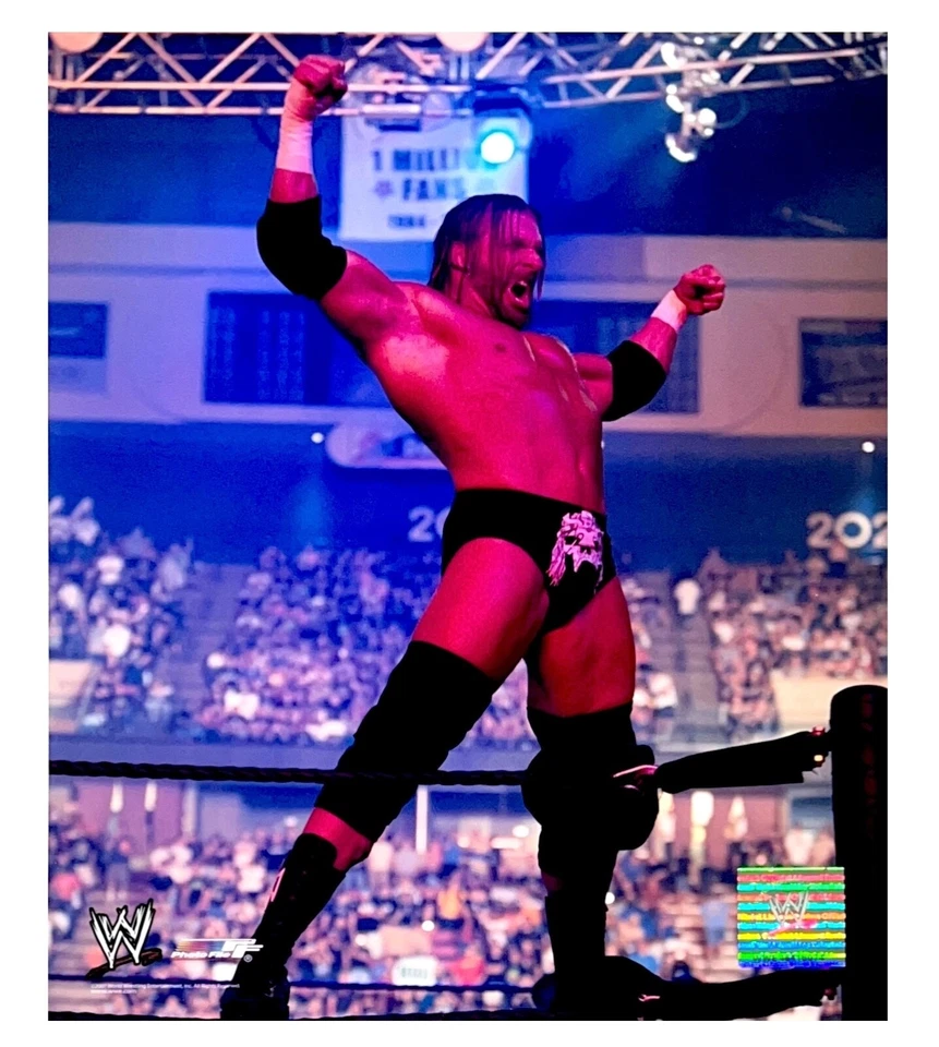 FOTO DE LUTA LIVRE WWE TRIPLE H OFICIAL LICENCIADA 8X10 ARQUIVO DE FOTO ORIGINAL HHH 1 - Imagem 1 de 1