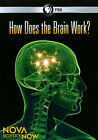 Nova Science Now: How Does the Brain Wor DVD Incredible Value and Free Shipping!