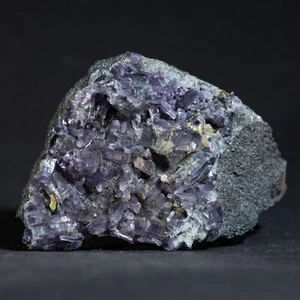 Amesit Kristall Cluster auf Chromit 52x44 mm / 2x1,7 Zoll Sarany, Ural, Russland - Bild 1 von 6