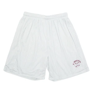 RUSSELL ATHLETIC T-Breds Mens Sports Shorts Grey XL W32 - Picture 1 of 6