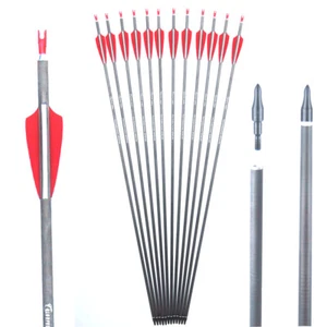 Flechas de carbono puro 28/30/31 pulgadas columna 300/400 para caza con arco compuesto recurvo - Imagen 1 de 9