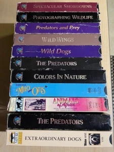 VHS Movie LOT (11) Outdoor/Animal Movies - Wild America, Etc. - Picture 1 of 4