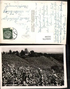 352388,Gamlitz Unter-Eckberg Weingut Sonneck Weinreben  - Picture 1 of 1