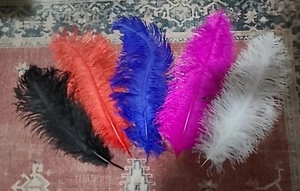 Natürliche Straußenfedern 19-20" in königlich, rot, schwarz, Fuchsia oder weiß - Bild 1 von 8