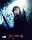 Elijah Wood Signed Autograph 8x10 Photo The Lord of The Rings Frodo Beckett COA