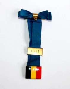 MEDAILLE DECORATION INSIGNE MILITAIRE EMAILLÉ BELGIQUE LUST BREHMER MARKNEUKIRCH - Picture 1 of 2