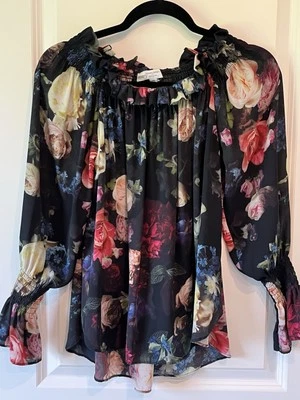 Top de gasa semi transparente con estampado floral de Adam Lippes Collective XS con cuello de volantes Vv20 Foto 1 de 4