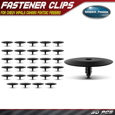 30 нейлоновых фиксаторов изоляции капота 7,94 мм для Chevy Impala Camaro Pontiac - Изображение 1 из 4