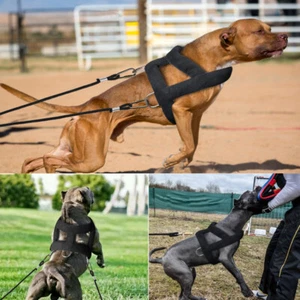Dog Weight Pulling Harness for Pitbulls Training Adjustable Medium Large Vest - Picture 1 of 13