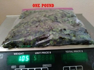 1 pound duckweed live plants for Tilapia food aquaponics Organic tank raised - Picture 1 of 2