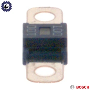 FUSE 1 987 531 011 - Picture 1 of 12