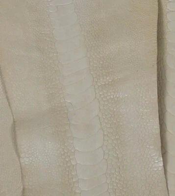 Piel de patas de avestruz cuero color hueso (mate) Foto 1 de 2