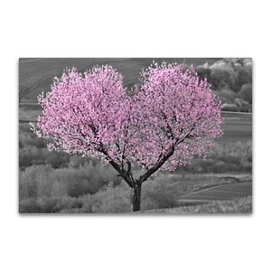 Black & White Pink Blossom Heart Canvas Wall Art Picture Print. Cherry Tree Love - Picture 1 of 3