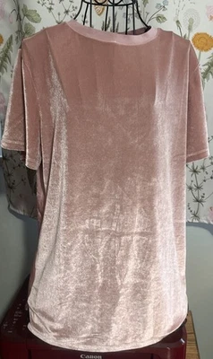 Ted Baker 2 (L) Velvet front Sheer back Pink Tee short sleeves - Image 1 of 4