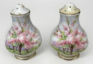 VTG Beautiful Floral Royal Albert Blossom Time Salt & Pepper Shakers MCM - Picture 1 of 12