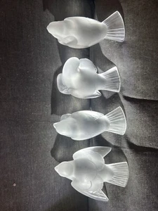 Elegant Lalique Crystal Frosted Sparrow Birds set of 4 All Signed Lalique France - Picture 1 of 17