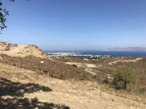 Baugrundstück auf der Insel Kos - Bild 1 von 3