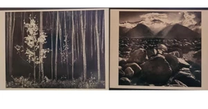 2 ANSEL ADAMS 5x7 Print "Mt. Williamson & "Aspens, Northern New Mexico, 1955 - Picture 1 of 4