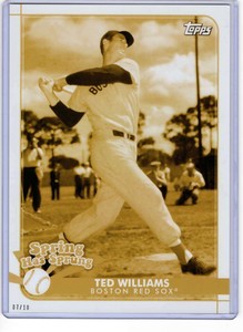 Ted Williams 2020 Topps Opening Day Spring has Sprung 5x7 Gold #SHS-3 /10 Red So