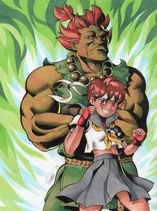 ORIGINAL Street Fighter - Akuma and Dark Sakura 9" x 12" Illustration Fan Art - Picture 1 of 3