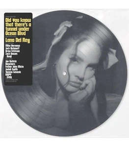 Lana Del Rey - Did You Know Tunnel Under Ocean Blvd 12” Pic Disc sealed - Imagen 1 de 1