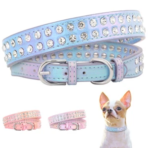 Hundehalsband Leder Strasshalsband für kleine Hunde Welpenhalsband Chihuahua XS - Bild 1 von 22