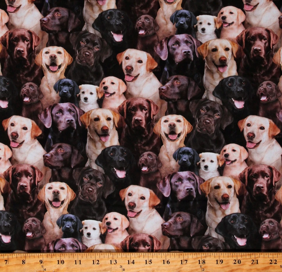 Algodón Labrador Retriever Animales Perros Tela Multicolor Estampado por Yarda D760.49 Foto 1 de 1