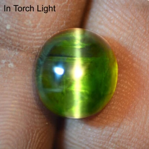 Natural Sharp Green Tourmaline Cats Eye Oval Cabochon 9.12 Cts Brazil gemstone - Picture 1 of 3