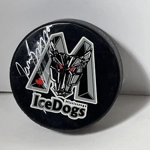 2000 Mississauga Ice Dogs Jason Spezza Autographed Puck No COA Read Description - Picture 1 of 6