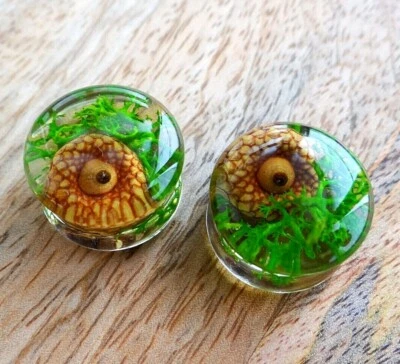 Acorn Solid Acrylic Saddle Ear Tunnels Resin Green plugs Large size Mens gift - Image 1 of 4
