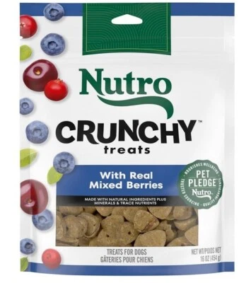 Nutro Crunchy Dog Treats With Real Mixed Berries, 16 oz. Bag, Free Shipping - Image 1 of 4