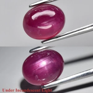 💎 2,26ct ovaler Cabochon lila rot 6 Strahlen Stern Rubin - beheizbare Glasfüllung, Edelstein - Bild 1 von 12