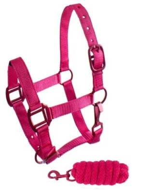 Nuevo Halter Showman Triple Capa Nylon con Cuerda de Plomo de 8' a Juego 101HLP PONY TAMAÑO Foto 1 de 4