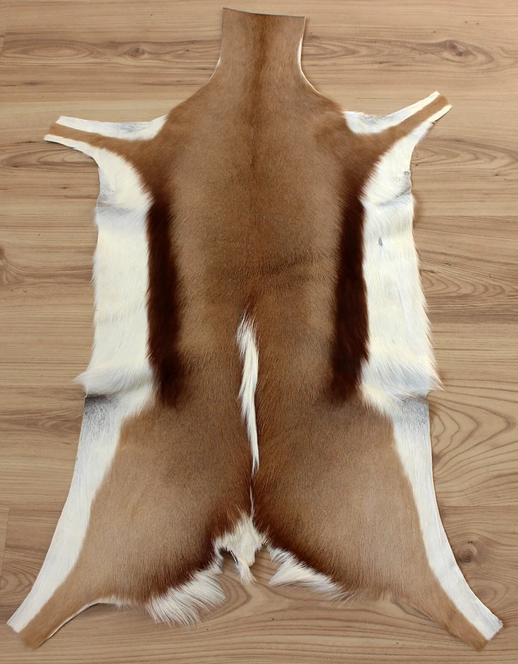 Springbockfell Tierfell weich gegerbt und geruchsneutral aus Südafrika #207-18 - Bild 1 von 1