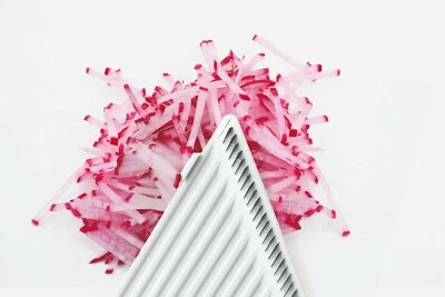 GSD EINSATZ 1 I SCHEIBEN INLAY INSERT ZUBEHÖR ATTACHMENT ACCESSORY SPARE SLICER - Bild 1 von 4